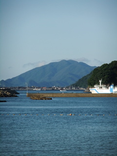 DSCF5556