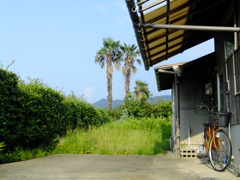 DSCF6365