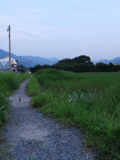 DSCF5945