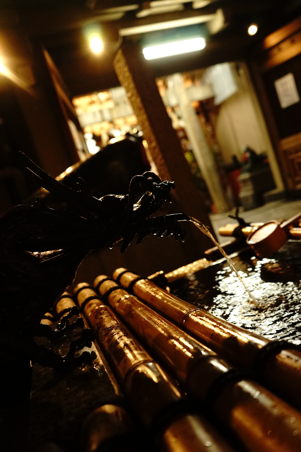 DRAGON