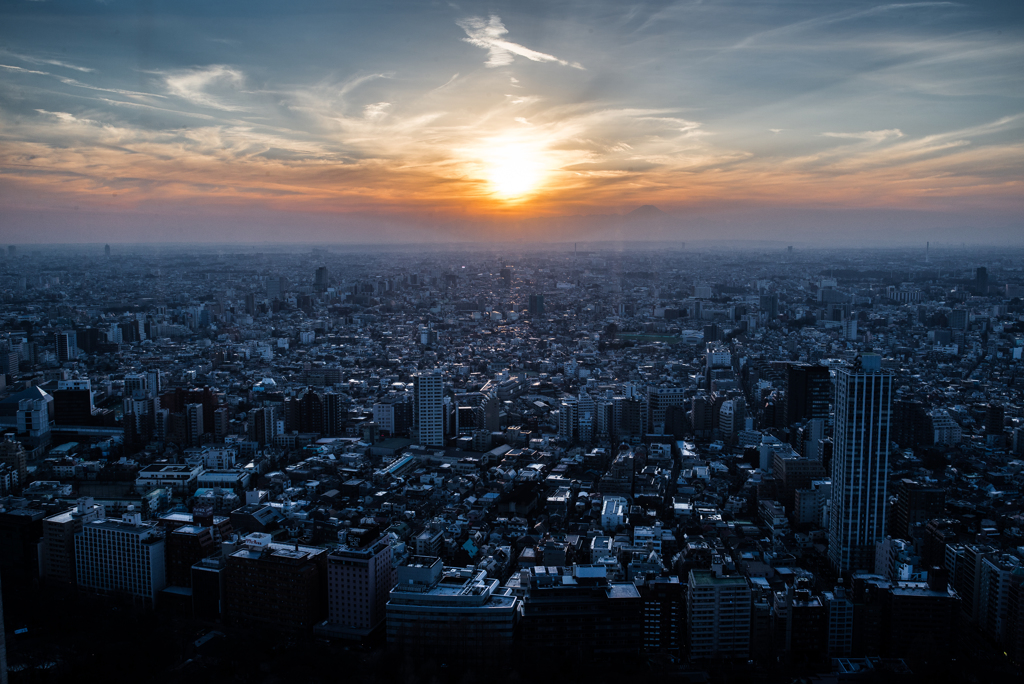 東京街海