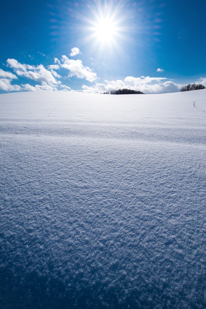 雪漠