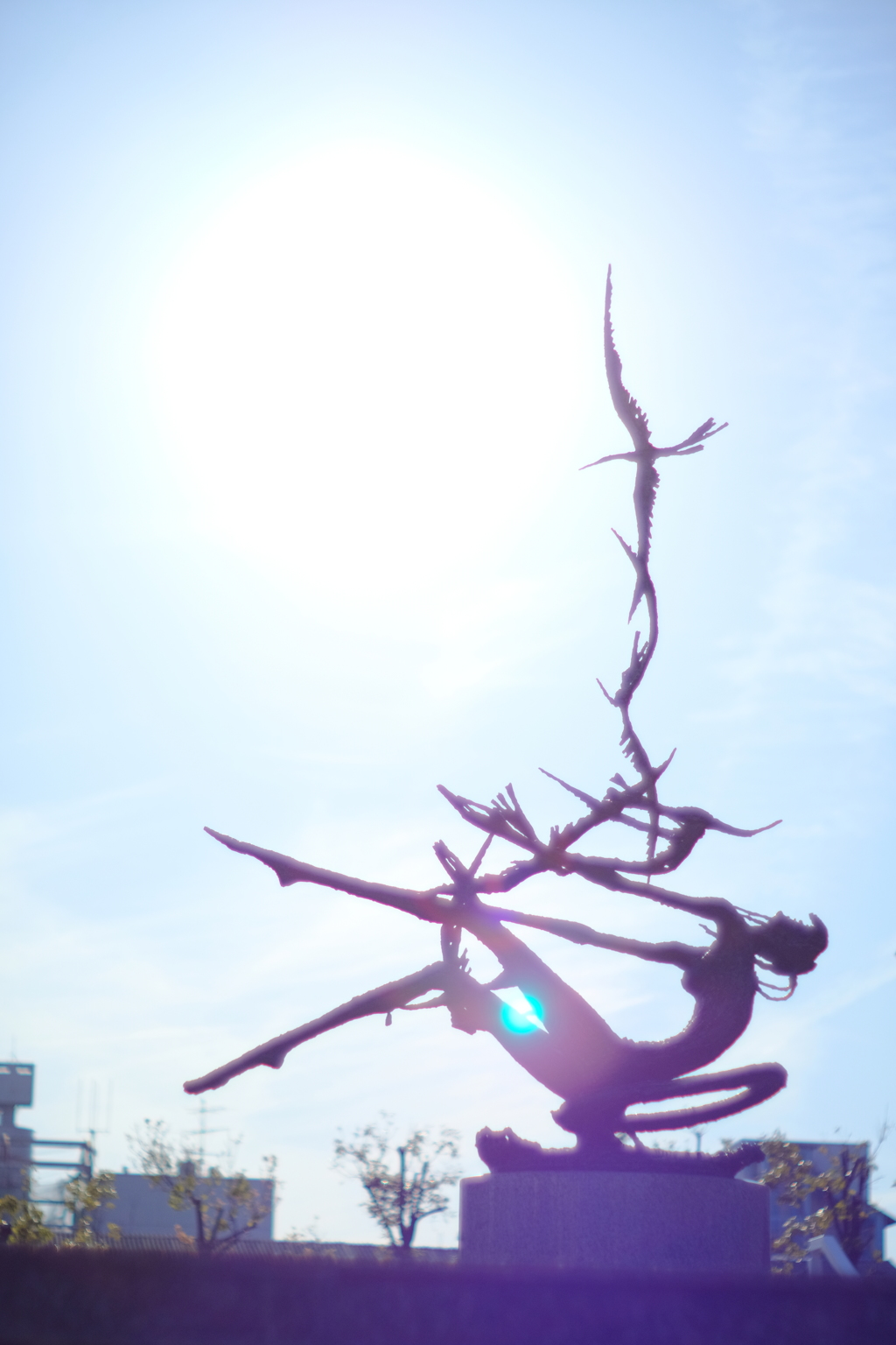 太陽と鳥と空と人