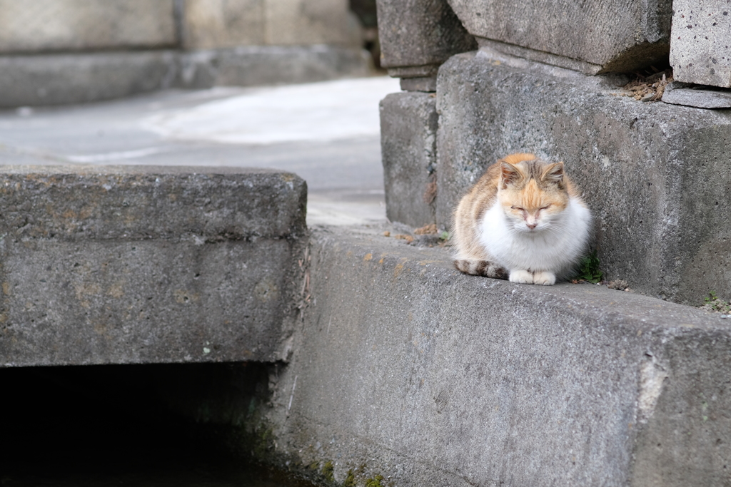 箱座り