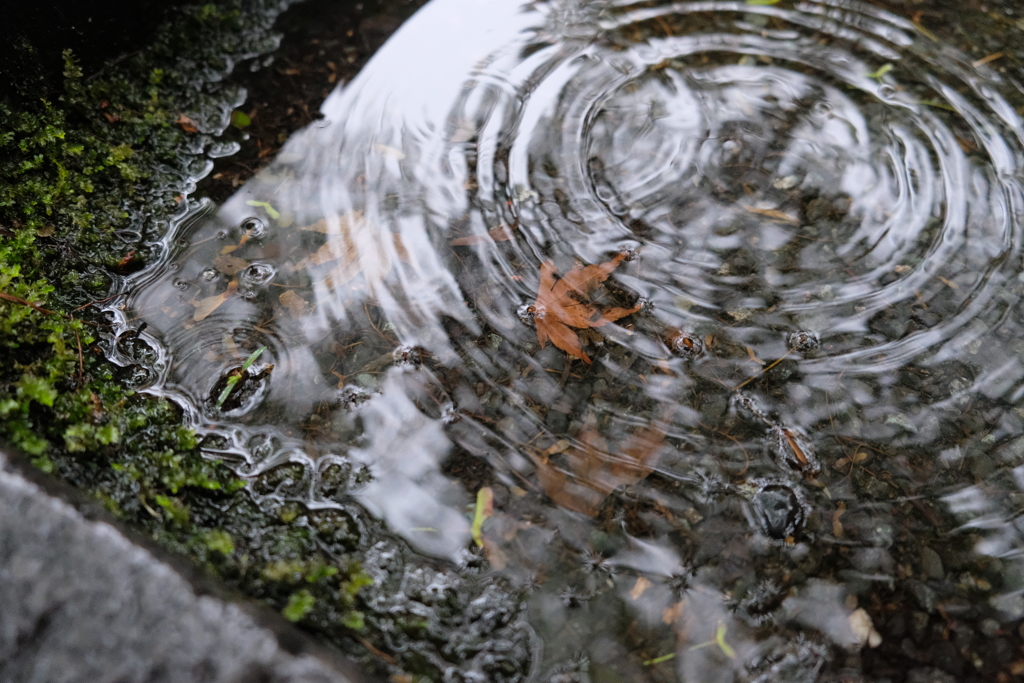 雨音