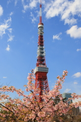 東京タワー