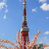 東京タワー