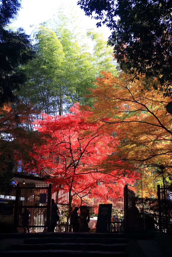 瑞宝殿参道から