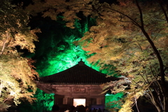 松島円通院の紅葉ライトアップ　4