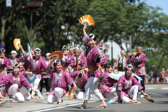 仙台すずめ踊り　2