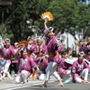 仙台すずめ踊り　2