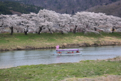 桜の思い出 4