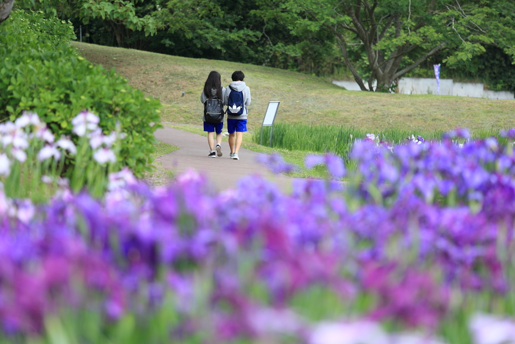 部活帰り