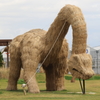 ブロントサウルス