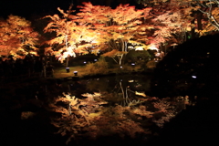 松島円通院の紅葉ライトアップ