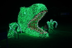 T-REX