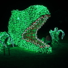 T-REX