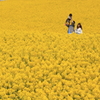 家族の幸せ