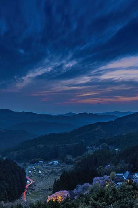 千年桜夕景