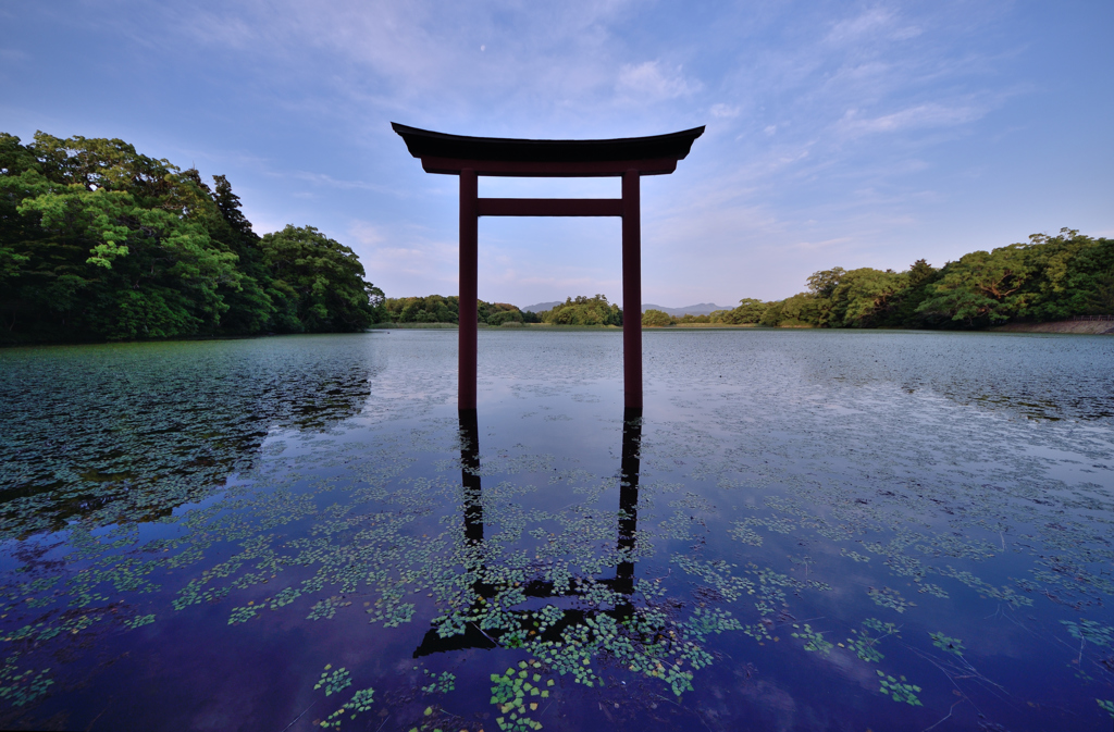 朝にお参り。