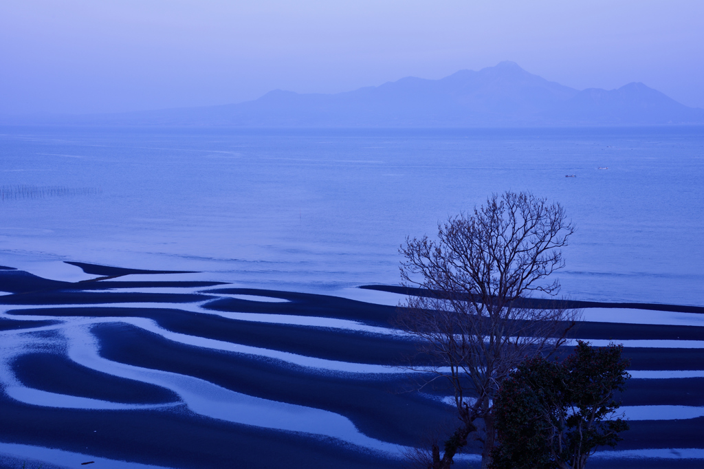 目覚める海岸