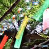 100年ぶりの風鈴の風。。。