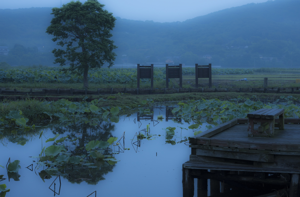 静寂な夜明けに