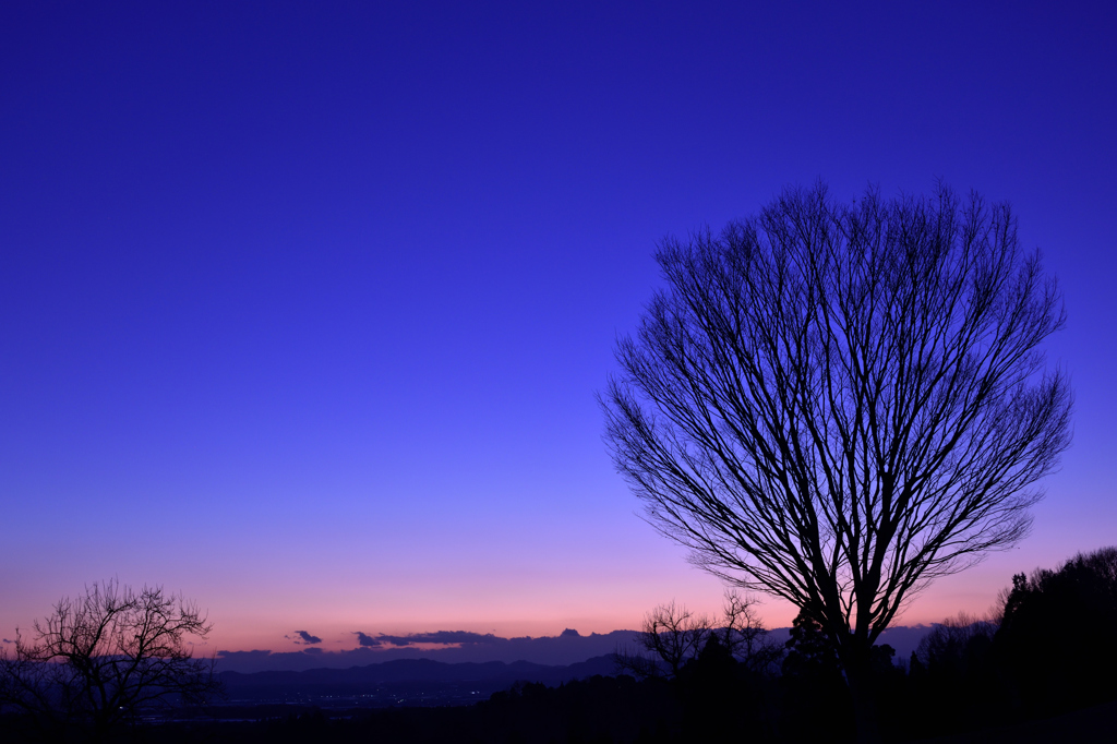 菊池平野の夕景1