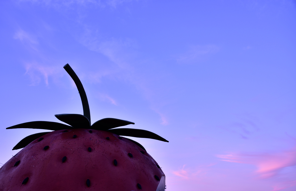 夕暮れにイチゴ