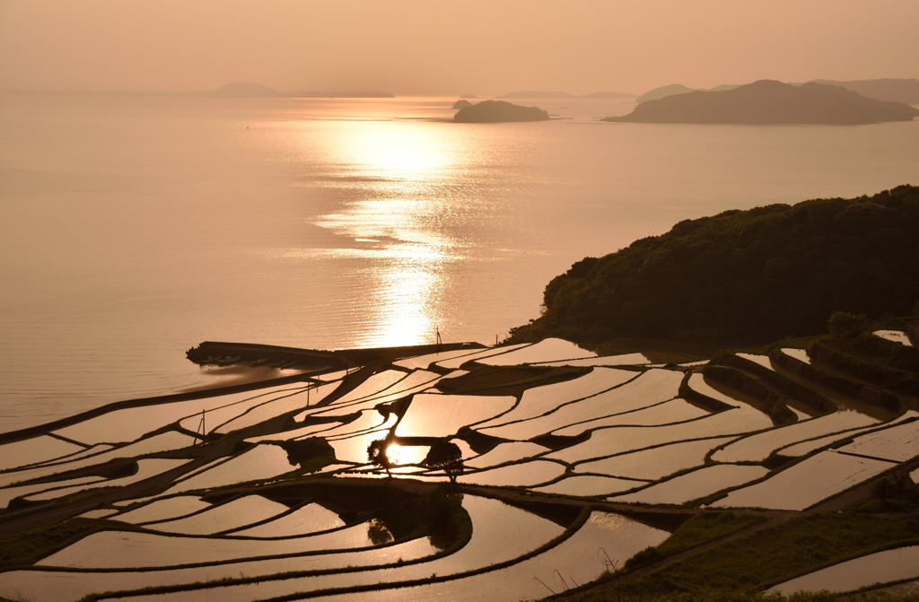 海と棚田を照らす夕日