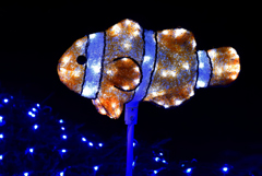 イルミな夜の水族館 第三話