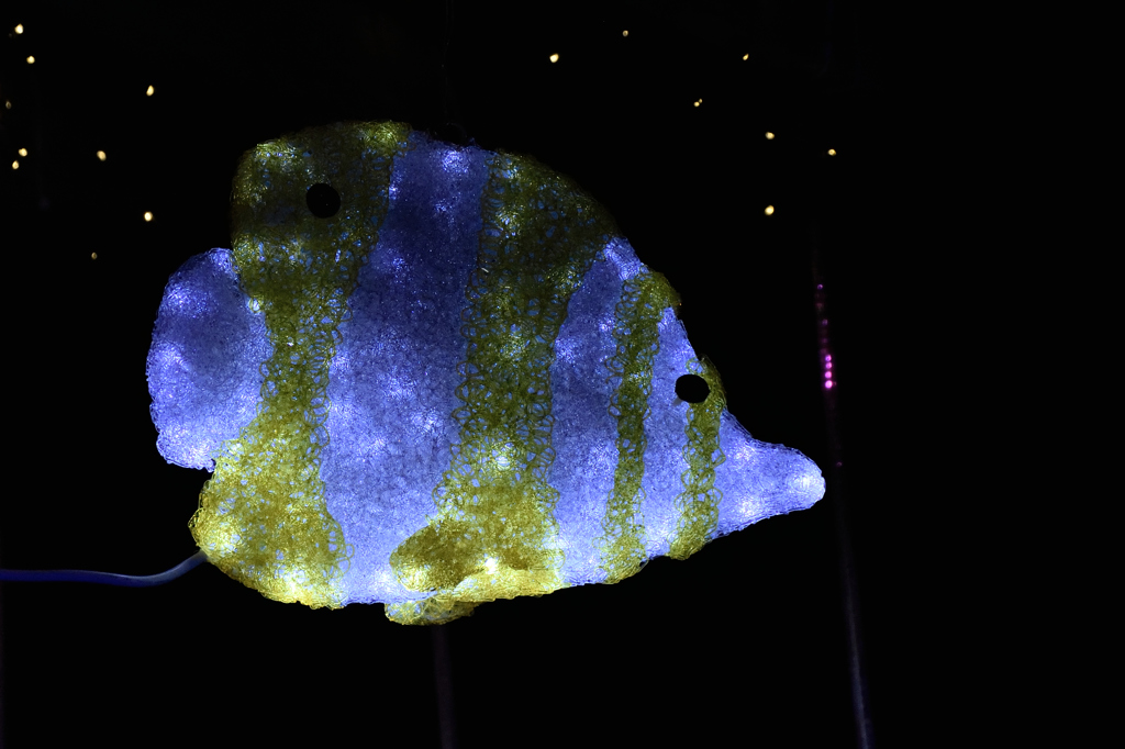 イルミな夜の水族館 第二話