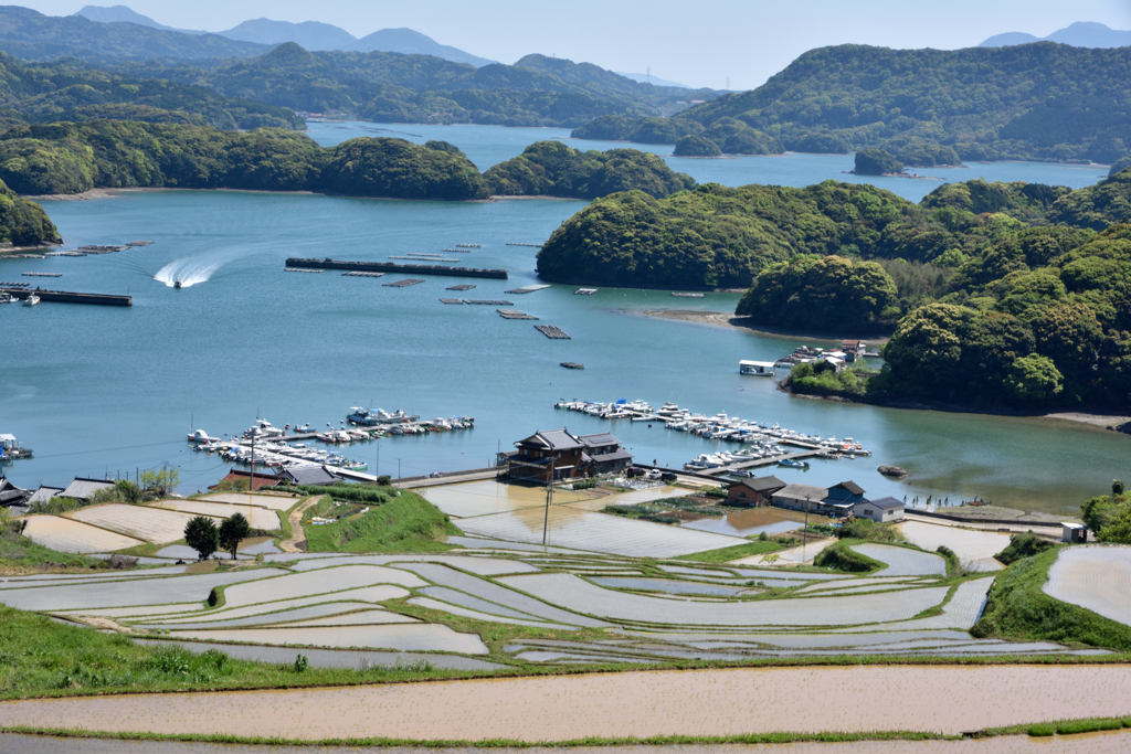 入り江を見つめる棚田