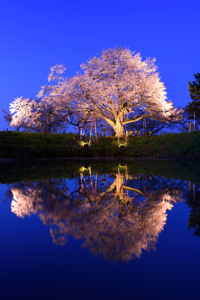 蒼い晩春にて