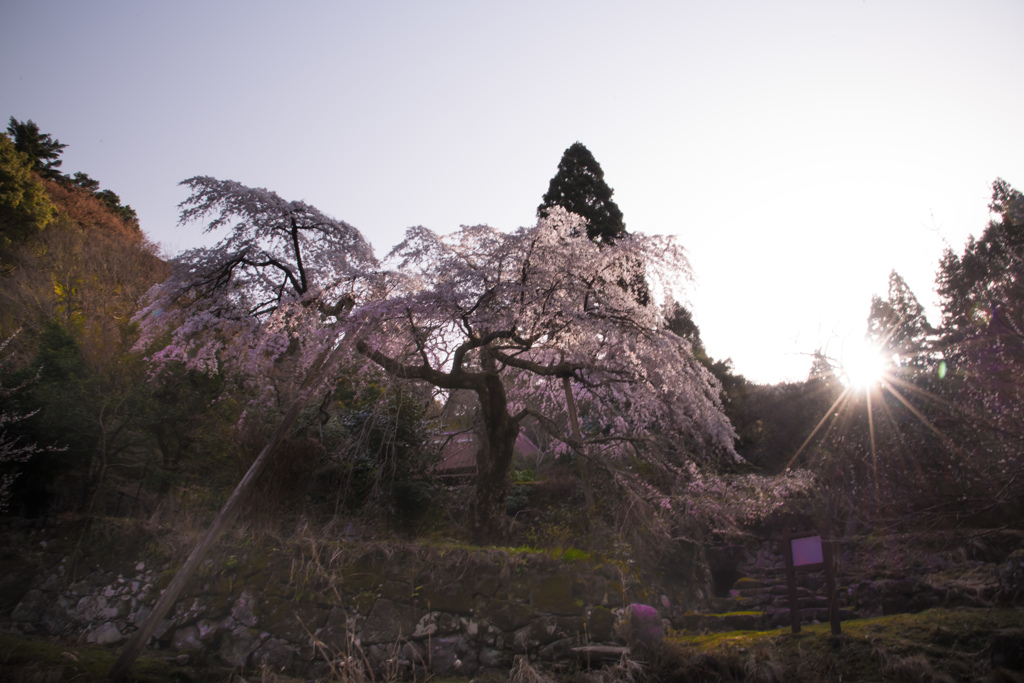 守静坊の朝