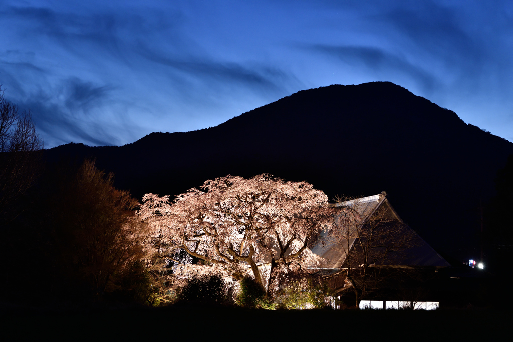 神埼夜景