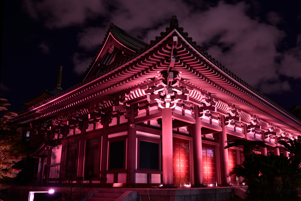 感動した東長寺本堂