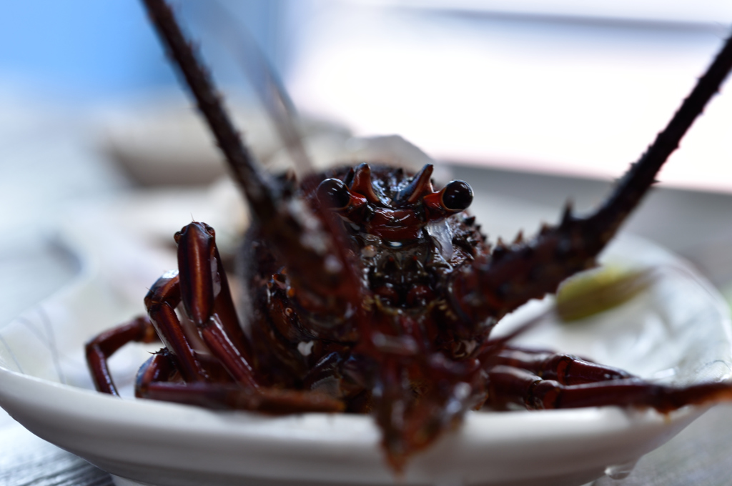 伊勢海老の大逆襲