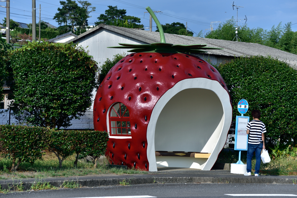 苺ツブツブ夏休み