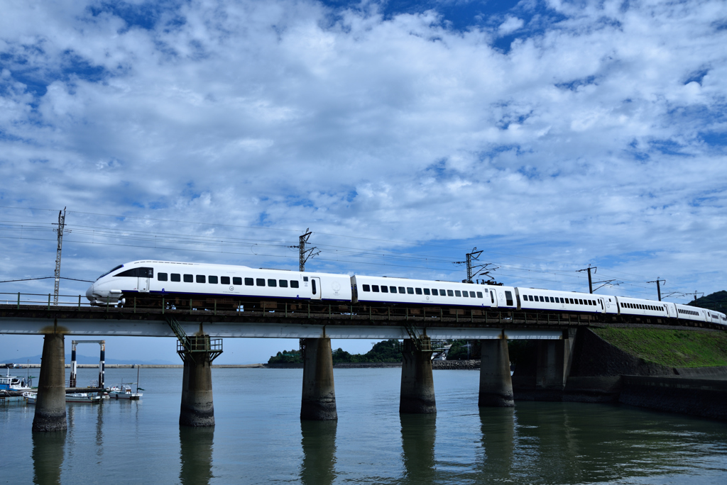 有明海沿岸を疾走する白いカモメ。