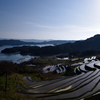 海を見下ろす棚田