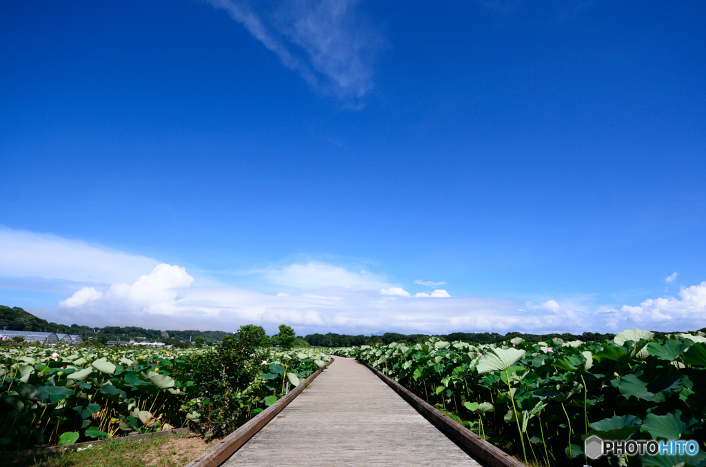 また歩きたいなあ。。。