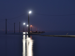 サギのいる夜明け前の海路