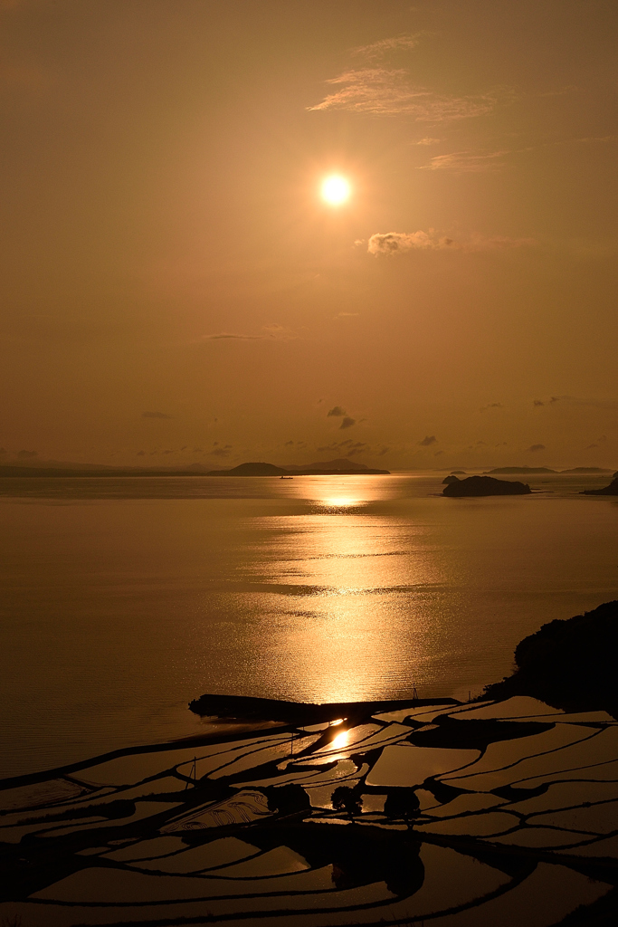 まっすぐ伸びた夕日の道が。。。