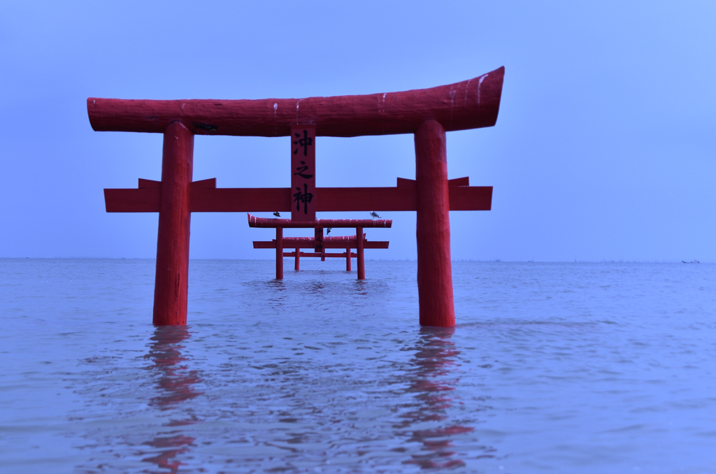 ミルク色の朝に。。。