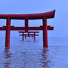 ミルク色の朝に。。。