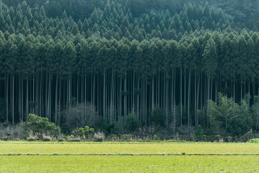 日本の原風景 Places to visit before you die] Japan's original landscapes