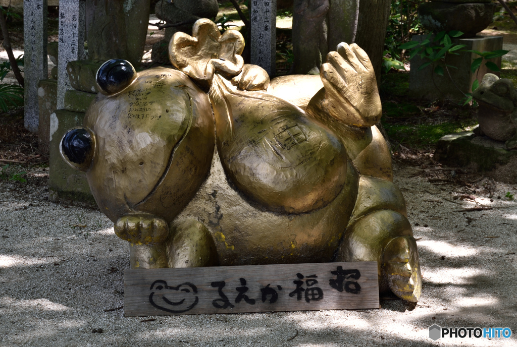 残暑お見舞いでゲロゲロ。。。