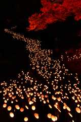 十六羅漢の竹楽を照らす紅い秋