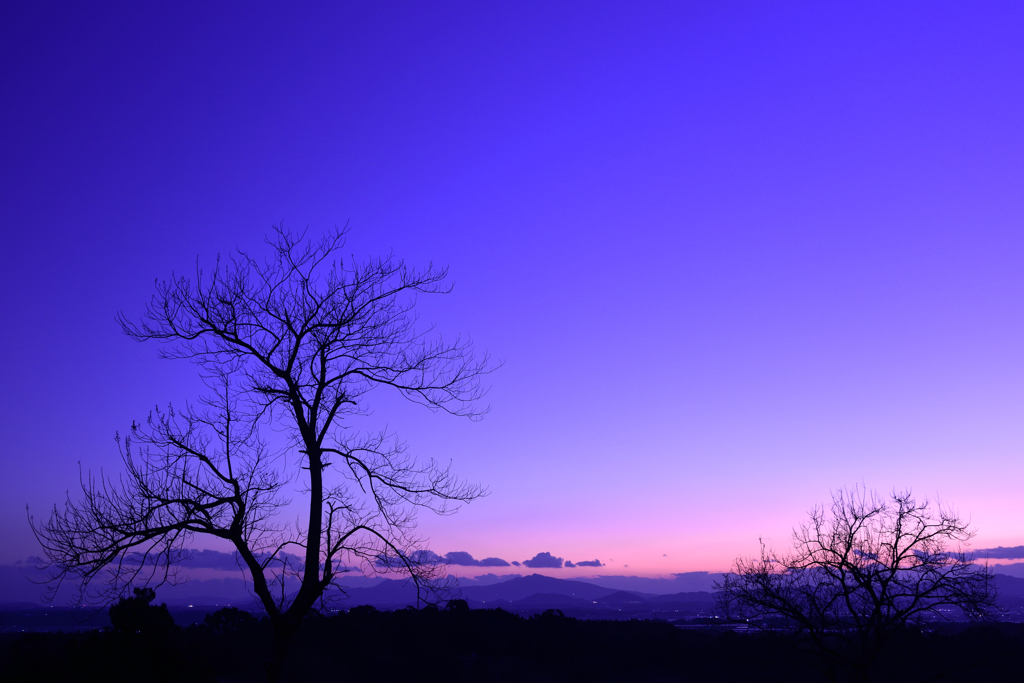 菊池平野の夕景2
